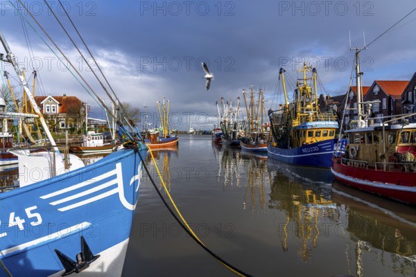 Cutter harbour Neuharlingersiel, shrimp cutter, East Frisia, Lower Saxony, Germany, Europe