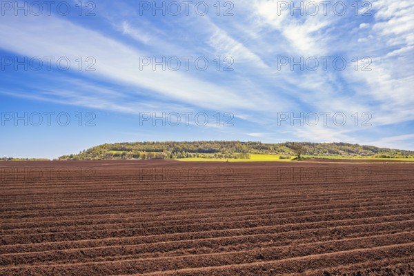 Plowed field in the countryside by a table mountain that is part of the Unesco geopark, Ålleberg, Falköping, Sweden, Europe