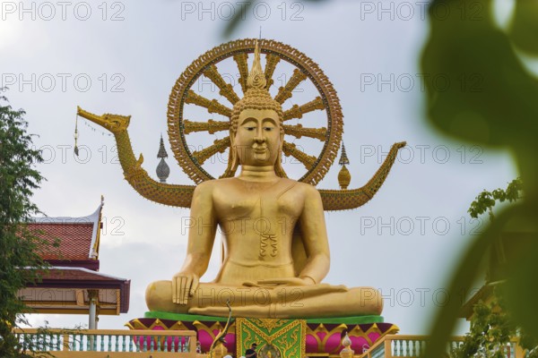 Sitting Buddha at Wat Phra Yai, Buddhist Temple, Big Buddha Temple, religion, Buddhism, figure, statue, sculpture, worship, God, sacred, world religion, spiritual, Buddha, Asian, deity, human figure, monument, sage, wisdom, image, religious, travel, tourism, art, history, cultural history, cult, icon, architecture, gold, golden, gilded, culture, peaceful, faith, monument, public, sitting, looking, Koh Samui, Thailand, Asia