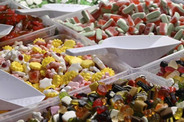 Confectionery Flowers Fruit gums