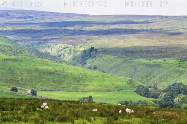 Farms over North Pennines, Cumbria, Durham, Northumberland, North Yorkshire, England, United Kingdom, Europe