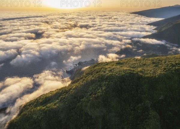 Aerial view of sunrise above clouds and green hills at Fanal mountain, Madeira island, Portugal, Europe