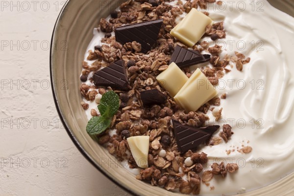Yogurt with chocolate muesli, breakfast, close-up, fork on top, no people