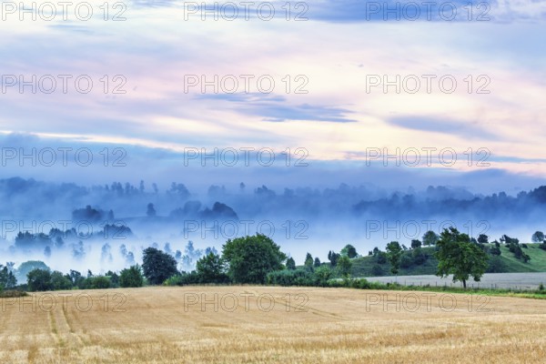 Morning mist in a rural landscape in a valley by a field in late summer