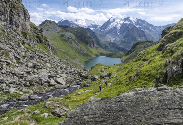 Hiker in front of mountain stream and mountain lake Lac de Louvie with glaciated summit of the Grand Combin, Val de Bagnes, Valais, Switzerland, Europe