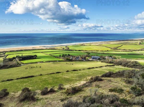 Farms over Swyre and West Bexington from a drone, West Bexington Nature Reserve, S W Coast Path, Dorchester, Dorset, England, United Kingdom, Europe