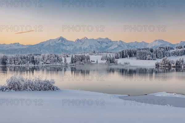 Dawn and sunrise at the wintry Forggensee in a snow-covered winter landscape in the foothills of the Alps in the Allgäu in Bavaria, Germany, Europe