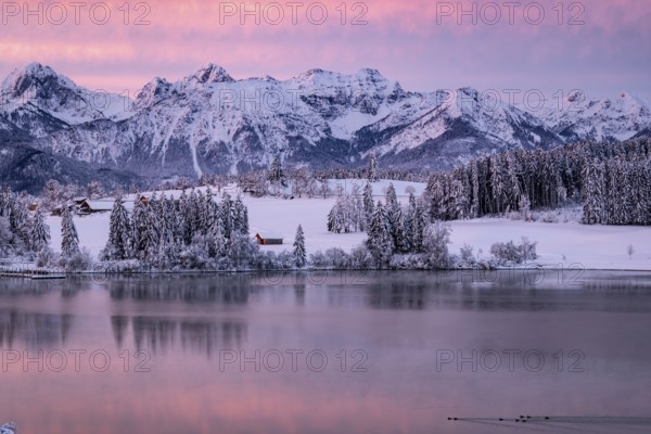 Dawn and sunrise at the wintry Forggensee in a snow-covered winter landscape in the foothills of the Alps in the Allgäu in Bavaria, Germany, Europe