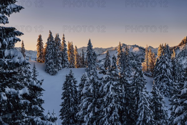 Sunrise snow tour on the Tegelberg in the Allgäu in Bavaria. Winter Wonder Land, Germany, Europe
