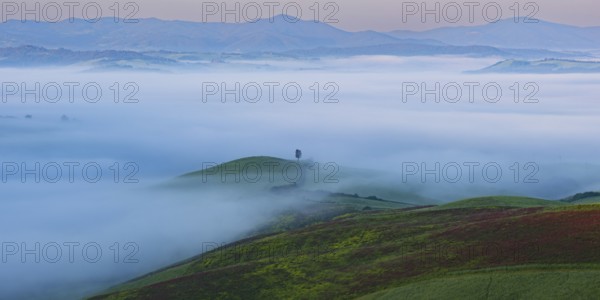 Landscape at sunrise around Volterra, Province of Pisa, Tuscany, Italy, Europe