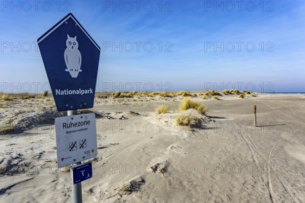 The East Frisian North Sea island of Juist in winter, marsh meadows in the west of the island, quiet zone in the national park, Lower Saxony, Germany, Europe