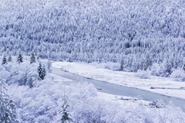 Isar valley in winter at temperatures of minus 18 degrees Celsius. Snow covered landscape with the Isar river flowing through. Some hoar frosted trees. Early morning