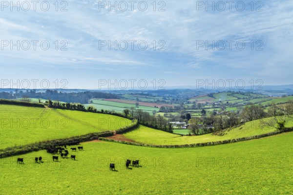 Farms and Fields over Torquay from a drone, Devon, England, United Kingdom, Europe