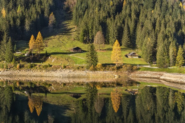 The Vordere Gosausee and the hiking trail around the lake in autumn. Two typical houses. Yellow larches. Reflection. Vorderer Gosausee, Gosau, Gosau Valley, Salzkammergut, Upper Austria, Austria, Europe