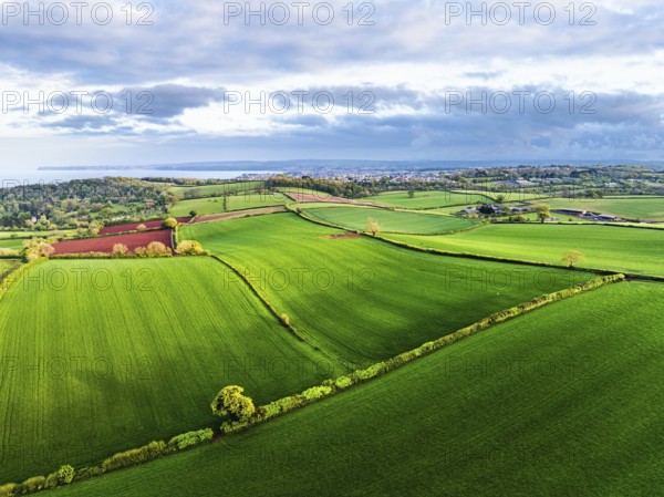 Fields and Farms over Torquay from a drone, Devon, England, United Kingdom, Europe