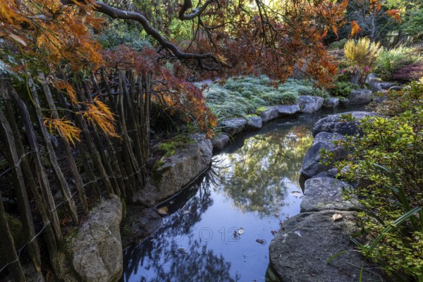 Plants, autumn colours, picket fence, stream, Japanese Garden, Zoological City Garden, Karlsruhe, Baden-Württemberg, Germany, Europe