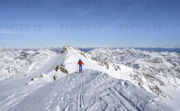 Ski tourers on a mountain ridge, summit of Monte Cevedale, mountain panorama, southern Zufallspitze in the background, snow-covered mountain landscape in winter, Ortler Alps, Vinschgau Valley, Italy, Europe