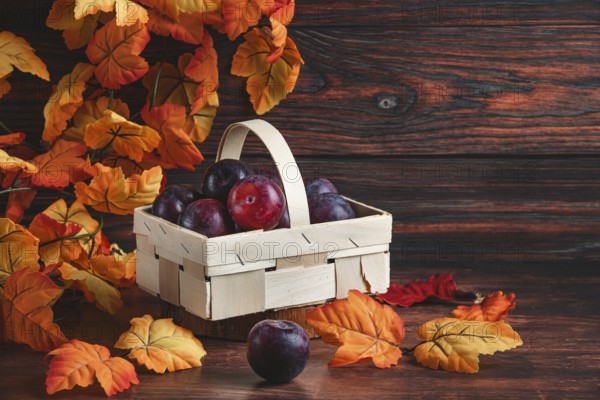 Plums in a wooden basket surrounded by orange autumn leaves
