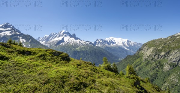 Mountain panorama with glaciated mountain peaks, Aiguille Verte with Aiguille du Midi and Mont Blanc, hike to Aiguillette des Posettes, Chamonix, Haute-Savoie, France, Europe