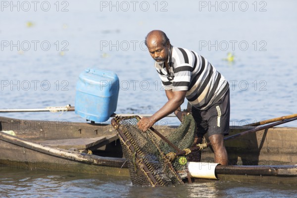 Mussel fisherman emptying his net on the Vembanad Lake, canal system of the backwaters, Kerala, India, Asia