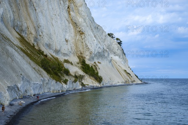 Möns Klint, the chalk cliffs of Mön, Mön Island, Denmark, Scandinavia, Europe