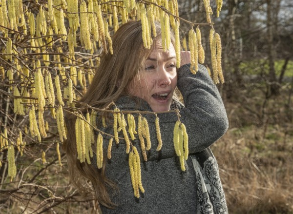Young Caucasian woman with allergy problem stands by flowering hazel bush and sneezes in the crook of her arm in Ystad, Skåne County, Sweden, Scandinavia, Europe
