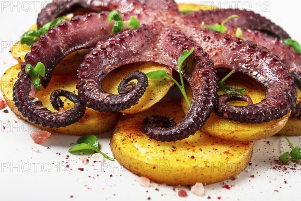 Octopus with potatoes and spices, on a light plate, top view, no people, homemade, close-up