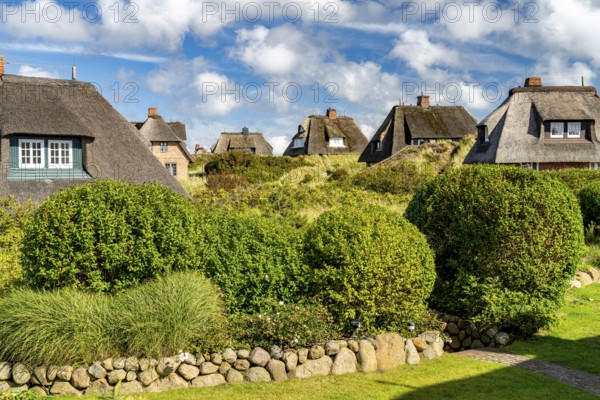 Thatched roof houses near List, island of Sylt, North Friesland district, Schleswig-Holstein, Germany, Europe