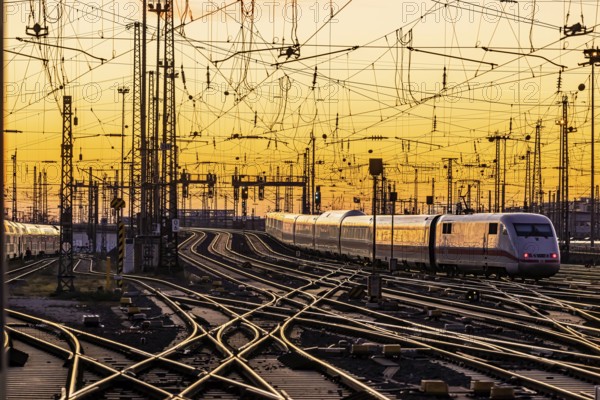 Track apron with trains, rails, points, pylons and signalling systems. Infrastructure at the main station. Sunset. Frankfurt am Main, Hesse, Germany, Europe
