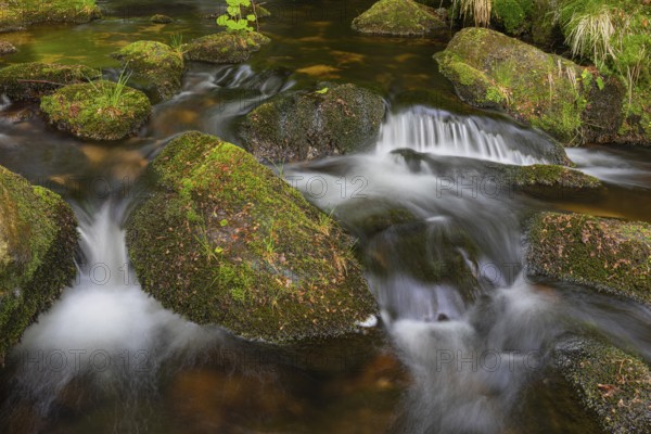 Kleine Ohe creek below Waldhaeuser village in the Bavarian Forest Nationalpark. Flowing water, little cascades, mossy stones and fresh green vegetation