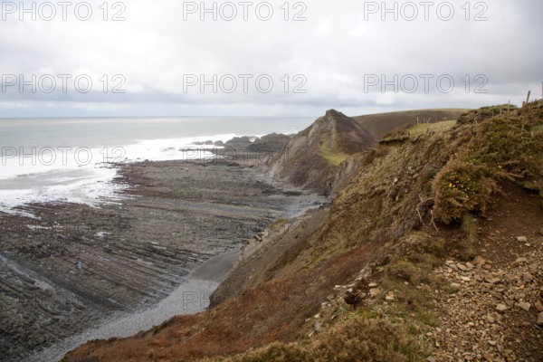 Rocky wave cut platform erosional landforms with ridges formed by eroded tilted strata at Hartland Quay, north Devon, England, United Kingdom, Europe