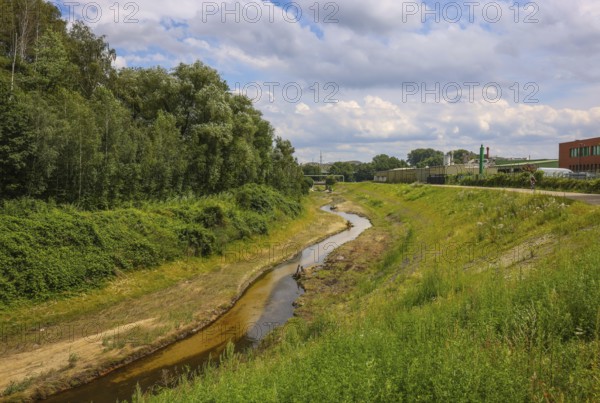 Bottrop, North Rhine-Westphalia, Germany - Renaturalised Boye, the tributary of the Emscher, was transformed into a near-natural watercourse, flood protection through newly designed flooding areas, the Boye is now free of sewage after the construction of a parallel sewer, is part of the Emscher river system and thus part of the Emscher conversion, was previously an open, above-ground wastewater channel, mixed water channel with surface water and wastewater
