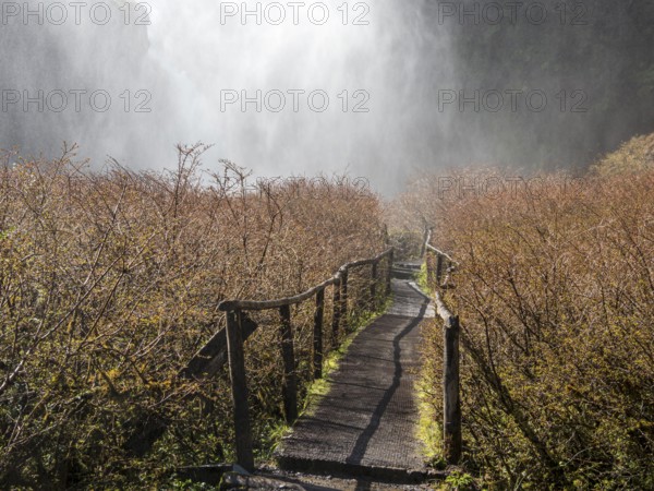 Waterfall Salto El Leon, path leading behind water veil, valley of waterfalls east of Pucon, La Auracania, Chile, South America