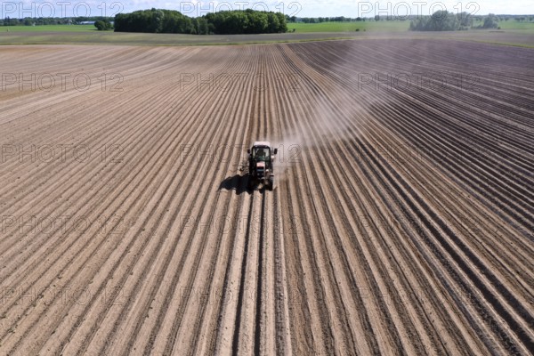 Tractor dragging a plume of dust behind it while working a potato field, Münchenberge, 20/05/2020