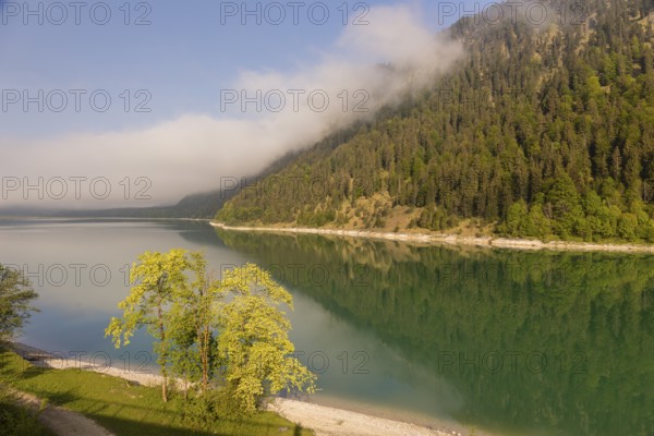Early morning at the Sylvenstein reservoir, Reservoir in the Isarwinkel, municipality of Lenggries, built between 1954 and 1959 for flood protection in the Isar valley
