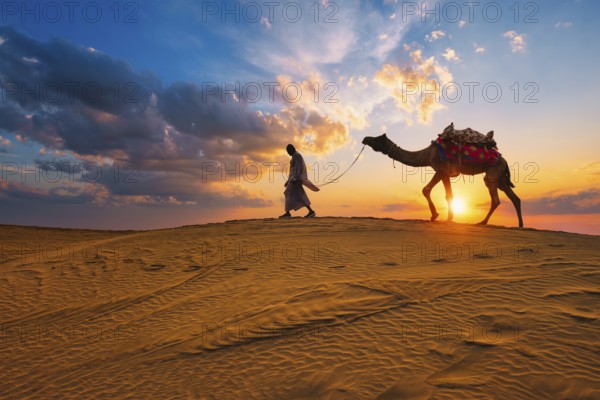 Indian cameleer camel driver bedouin with camel silhouettes in sand dunes of Thar desert on sunset. Caravan in Rajasthan travel tourism background safari adventure. Jaisalmer, Rajasthan, India, Asia