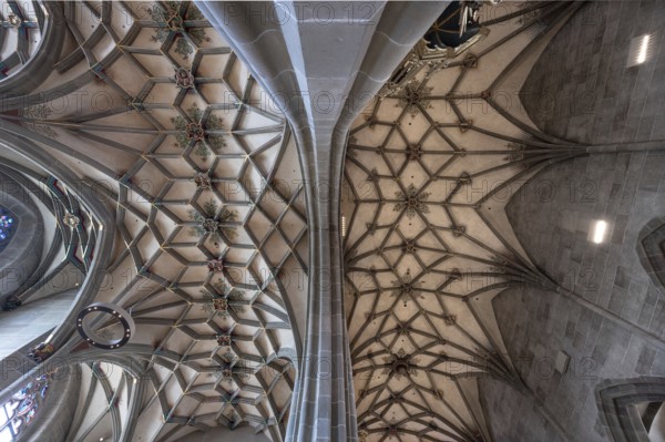 Late Gothic ribbed vault from the Heilig-Kreuz-Münster, 15th century, Rottweil, Baden-Württemberg, Germany, Europe