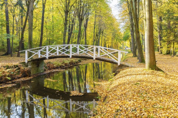 Bridge over the castle moat in autumn, park of Hermsdorf Castle, Ottendorf-Ockrilla, Saxony, Germany, Europe