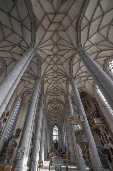 Interior with vault of the late Gothic church of St George, built between 1427 and 1505, church, Nördlingen, Bavaria, Germany, Europe