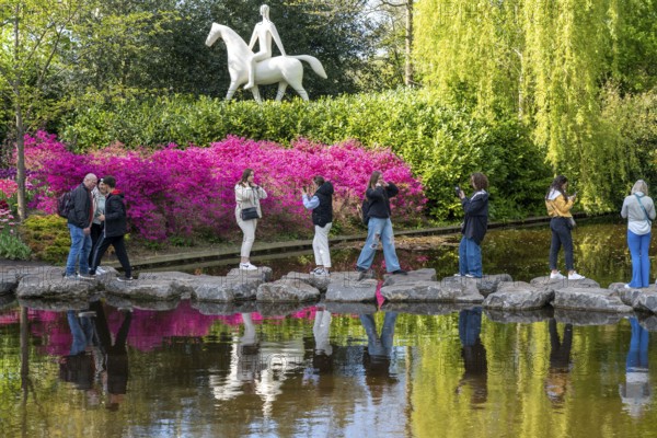The Keukenhof, gardens, amusement park, spring park, spring flower show, near Lisse, South Holland, Netherlands, tulip, daffodil and hyacinth show with over 7 million flowers, one of the biggest tourist attractions in Holland