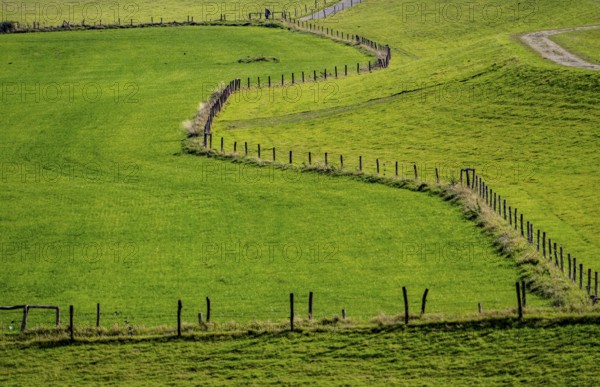 Lower Rhine landscape, dyke foreland near Grieth, North Rhine-Westphalia, Germany, Europe