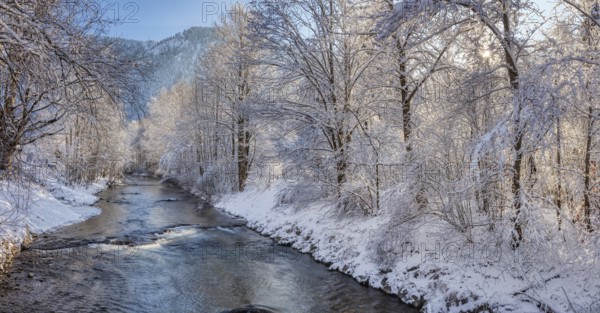 A calm river flows through a snowy winter landscape, surrounded by snow-covered trees and mountains in the background, Leitzach