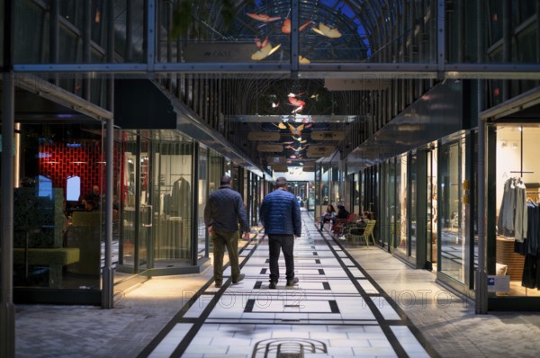 Calwer Passage, shopping arcade, shopping centre, covered, Stuttgart, Baden-Württemberg, Germany, Europe