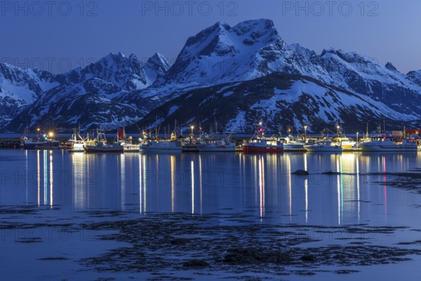 Blue hour, harbour and boats in front of steep mountains, reflection, Fredvang, Moskenesoya, Lofoten, Norway, Europe