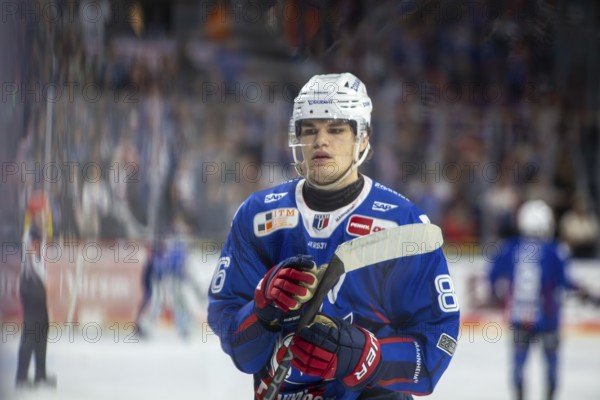 DEL, German Ice Hockey League season 2024/25, matchday 44: Adler Mannheim vs ERC Ingolstadt***Picture: Maximilian Heim (86, Mannheim)