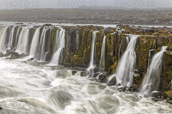 Waterfall at a river, cascades, spray, rapids, summer, foggy, Selfoss, North Iceland, Iceland, Europe