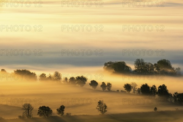 Awesome view at a rural landscape in morning fog with trees in silhouettes on the fields at autumn