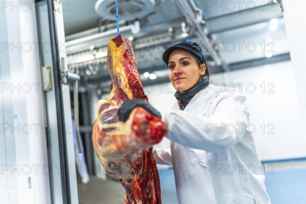 Woman unloading a truck with meat in a meat factory carrying the pieces inside a cold room