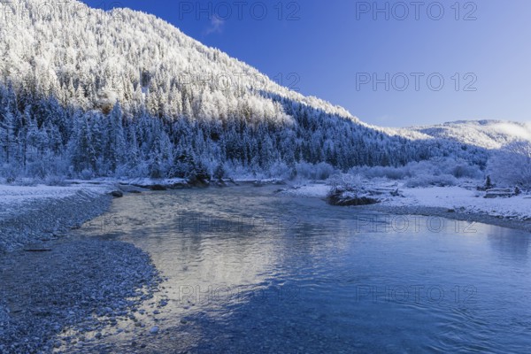 Isar valley in winter at temperatures of minus 18 degrees Celsius. Snow covered landscape with the Isar river flowing through. Some hoar frosted trees. Early morning