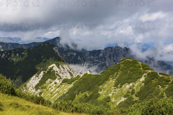 Hiking trail to the Gamsfeld, Russbach, Osterhorn group, Salzkammergut, Salzburg province, Austria, Europe